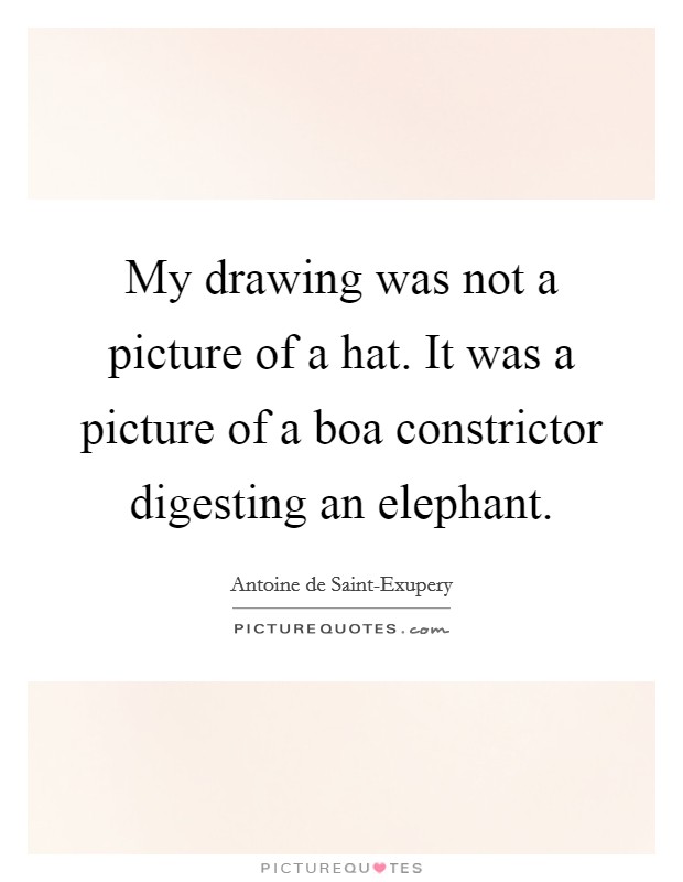My drawing was not a picture of a hat. It was a picture of a boa constrictor digesting an elephant Picture Quote #1