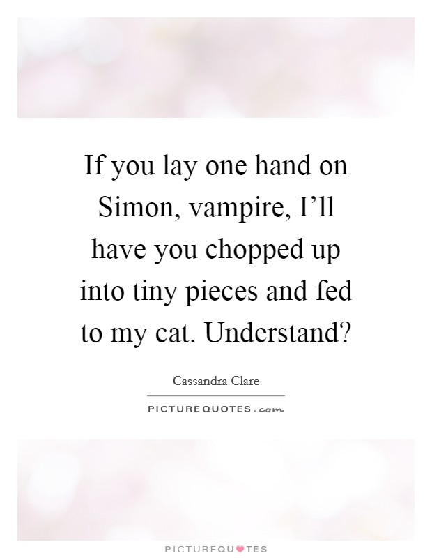 If you lay one hand on Simon, vampire, I'll have you chopped up into tiny pieces and fed to my cat. Understand? Picture Quote #1