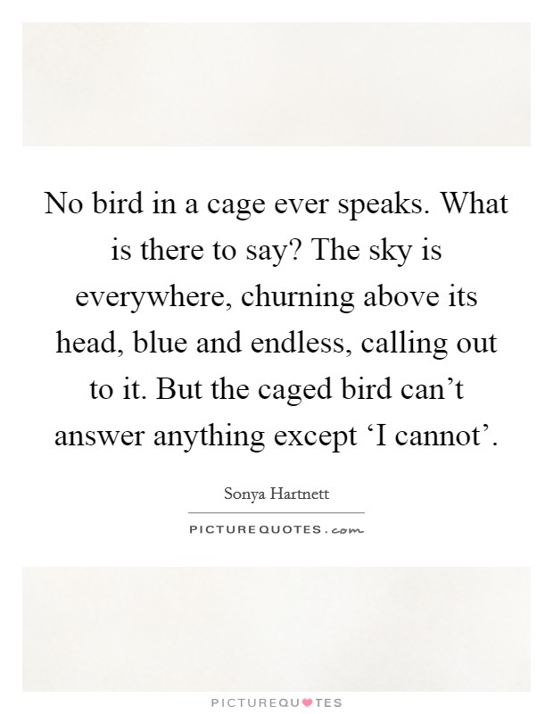 No bird in a cage ever speaks. What is there to say? The sky is everywhere, churning above its head, blue and endless, calling out to it. But the caged bird can't answer anything except ‘I cannot' Picture Quote #1