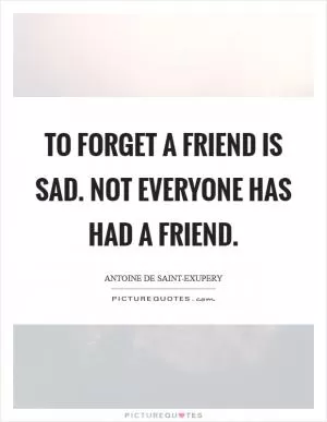 To forget a friend is sad. Not everyone has had a friend Picture Quote #1