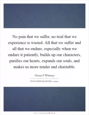 No pain that we suffer, no trial that we experience is wasted. All that we suffer and all that we endure, especially when we endure it patiently, builds up our characters, purifies our hearts, expands our souls, and makes us more tender and charitable Picture Quote #1