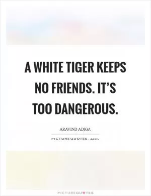 A White Tiger keeps no friends. It’s too dangerous Picture Quote #1