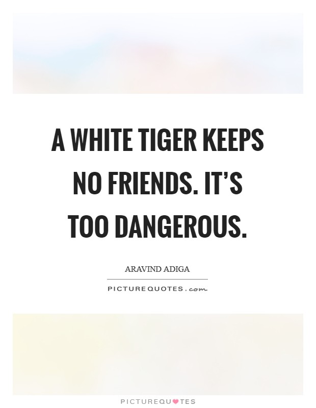 A White Tiger keeps no friends. It's too dangerous Picture Quote #1