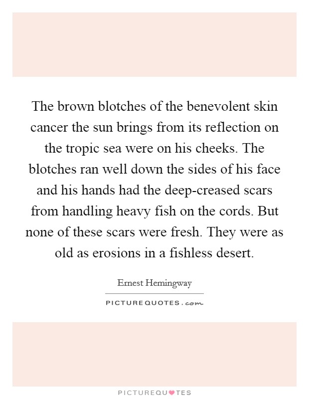The brown blotches of the benevolent skin cancer the sun brings from its reflection on the tropic sea were on his cheeks. The blotches ran well down the sides of his face and his hands had the deep-creased scars from handling heavy fish on the cords. But none of these scars were fresh. They were as old as erosions in a fishless desert Picture Quote #1