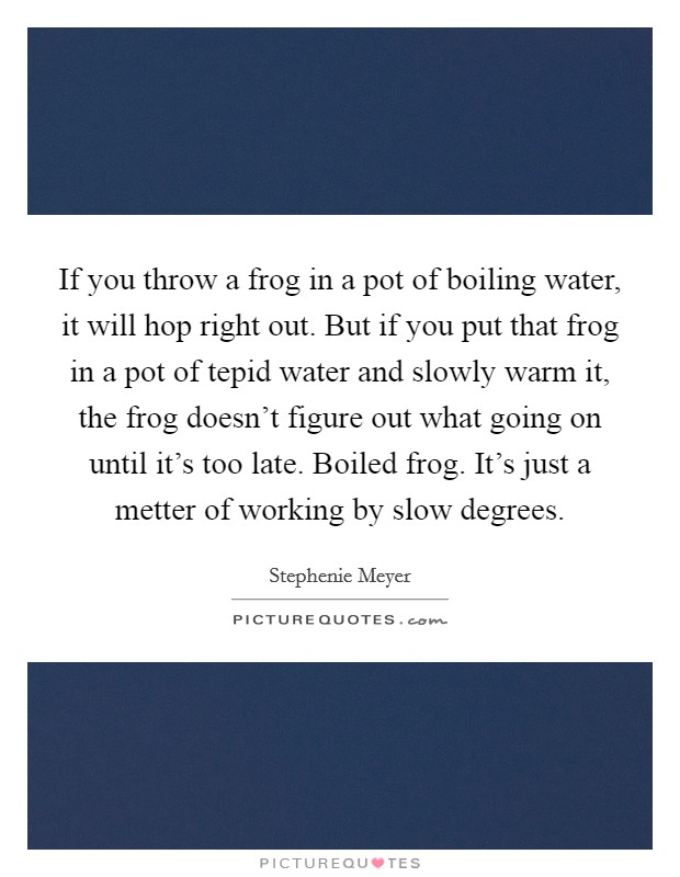 If you throw a frog in a pot of boiling water, it will hop right out. But if you put that frog in a pot of tepid water and slowly warm it, the frog doesn't figure out what going on until it's too late. Boiled frog. It's just a metter of working by slow degrees Picture Quote #1