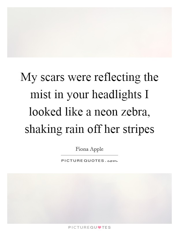 My scars were reflecting the mist in your headlights I looked like a neon zebra, shaking rain off her stripes Picture Quote #1