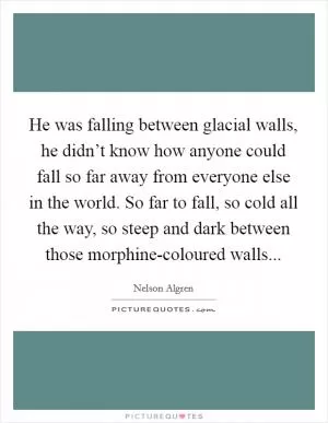 He was falling between glacial walls, he didn’t know how anyone could fall so far away from everyone else in the world. So far to fall, so cold all the way, so steep and dark between those morphine-coloured walls Picture Quote #1