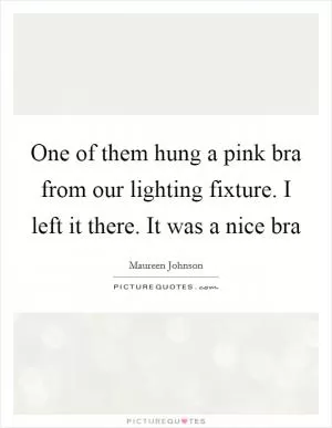 One of them hung a pink bra from our lighting fixture. I left it there. It was a nice bra Picture Quote #1