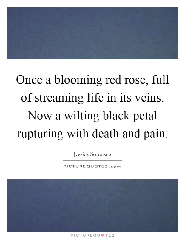 Once a blooming red rose, full of streaming life in its veins. Now a wilting black petal rupturing with death and pain Picture Quote #1