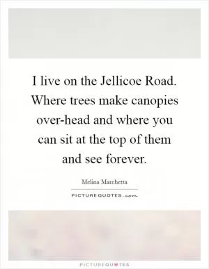 I live on the Jellicoe Road. Where trees make canopies over-head and where you can sit at the top of them and see forever Picture Quote #1