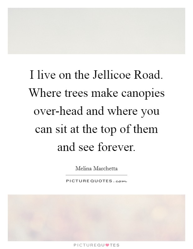 I live on the Jellicoe Road. Where trees make canopies over-head and where you can sit at the top of them and see forever Picture Quote #1