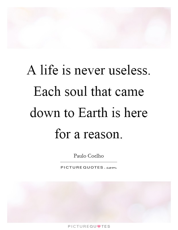 A life is never useless. Each soul that came down to Earth is here for a reason Picture Quote #1