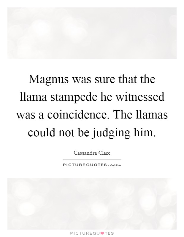 Magnus was sure that the llama stampede he witnessed was a coincidence. The llamas could not be judging him Picture Quote #1