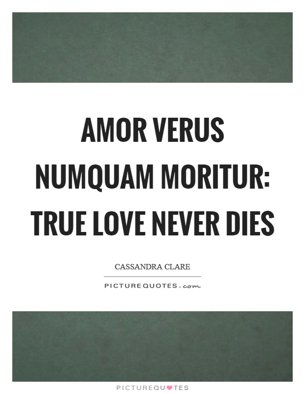 Amor verus numquam moritur: True love never dies Picture Quote #1