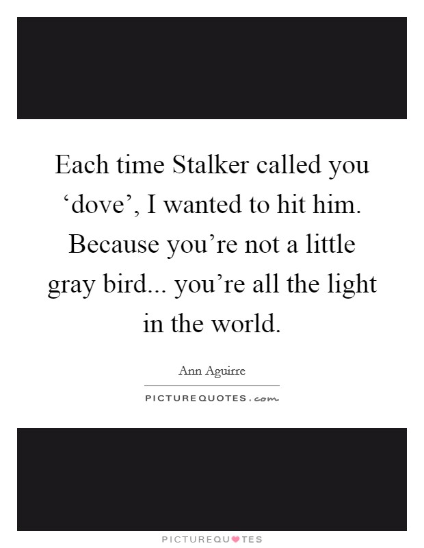 Each time Stalker called you ‘dove', I wanted to hit him. Because you're not a little gray bird... you're all the light in the world Picture Quote #1