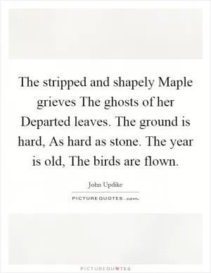 The stripped and shapely Maple grieves The ghosts of her Departed leaves. The ground is hard, As hard as stone. The year is old, The birds are flown Picture Quote #1