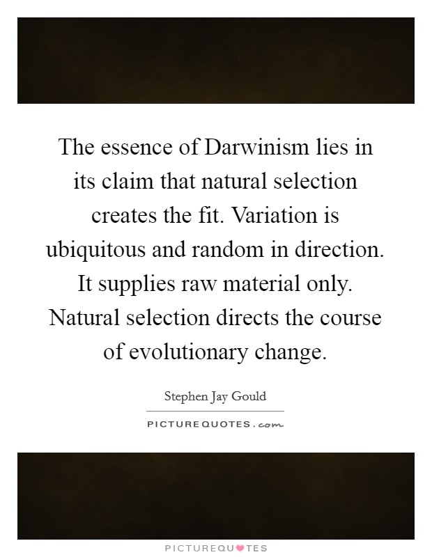 The essence of Darwinism lies in its claim that natural selection creates the fit. Variation is ubiquitous and random in direction. It supplies raw material only. Natural selection directs the course of evolutionary change Picture Quote #1