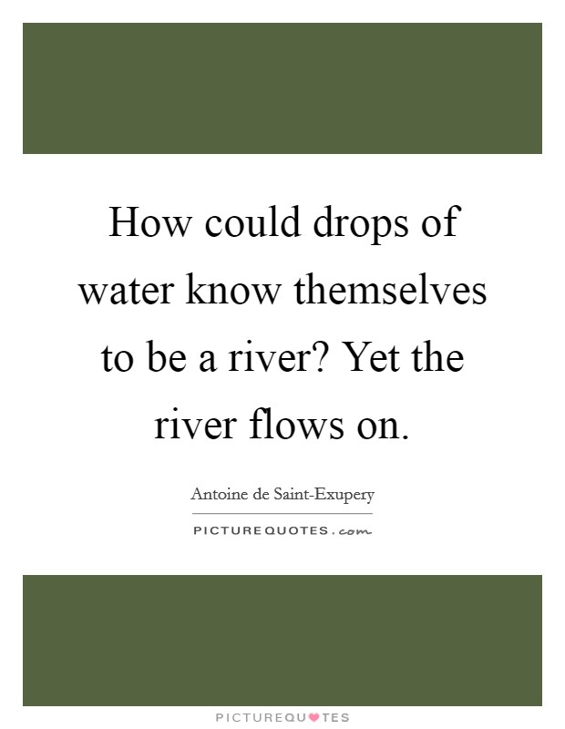 How could drops of water know themselves to be a river? Yet the river flows on Picture Quote #1