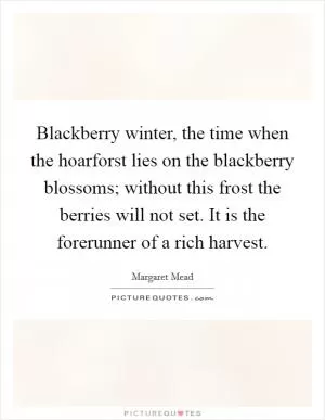 Blackberry winter, the time when the hoarforst lies on the blackberry blossoms; without this frost the berries will not set. It is the forerunner of a rich harvest Picture Quote #1