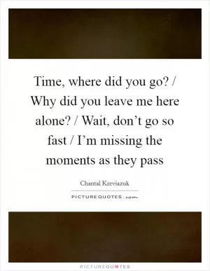 Time, where did you go? / Why did you leave me here alone? / Wait, don’t go so fast / I’m missing the moments as they pass Picture Quote #1