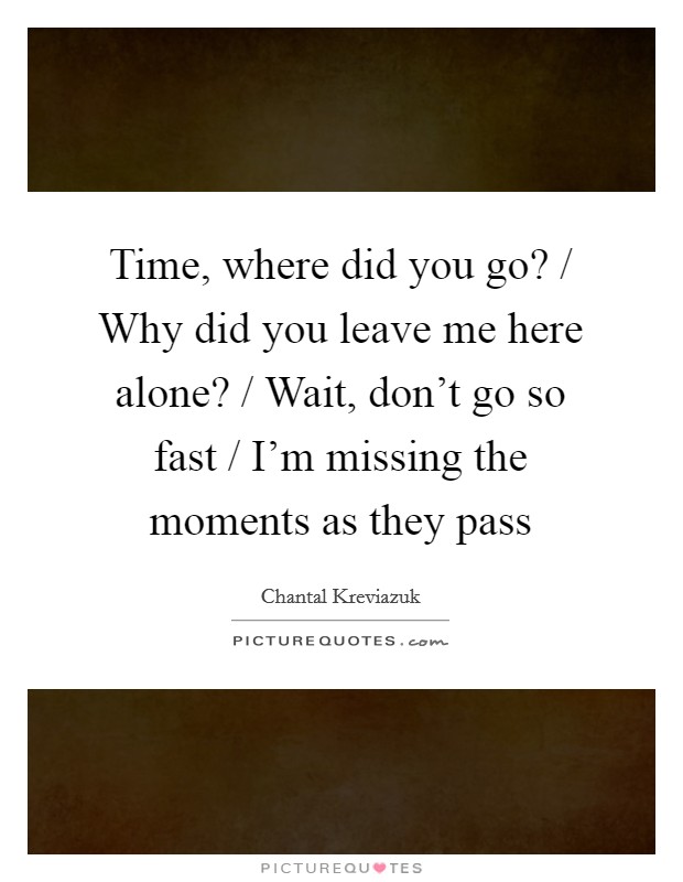 Time, where did you go? / Why did you leave me here alone? / Wait, don't go so fast / I'm missing the moments as they pass Picture Quote #1