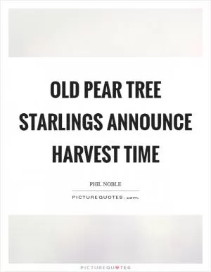Old pear tree starlings announce harvest time Picture Quote #1