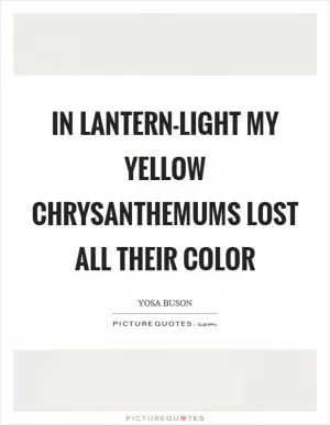 In lantern-light My yellow Chrysanthemums Lost all their color Picture Quote #1