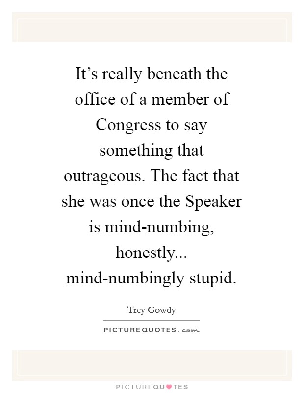 It's really beneath the office of a member of Congress to say something that outrageous. The fact that she was once the Speaker is mind-numbing, honestly... mind-numbingly stupid Picture Quote #1