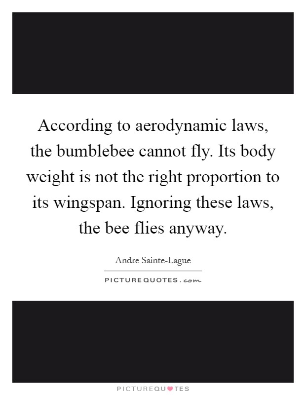 According to aerodynamic laws, the bumblebee cannot fly. Its body weight is not the right proportion to its wingspan. Ignoring these laws, the bee flies anyway Picture Quote #1