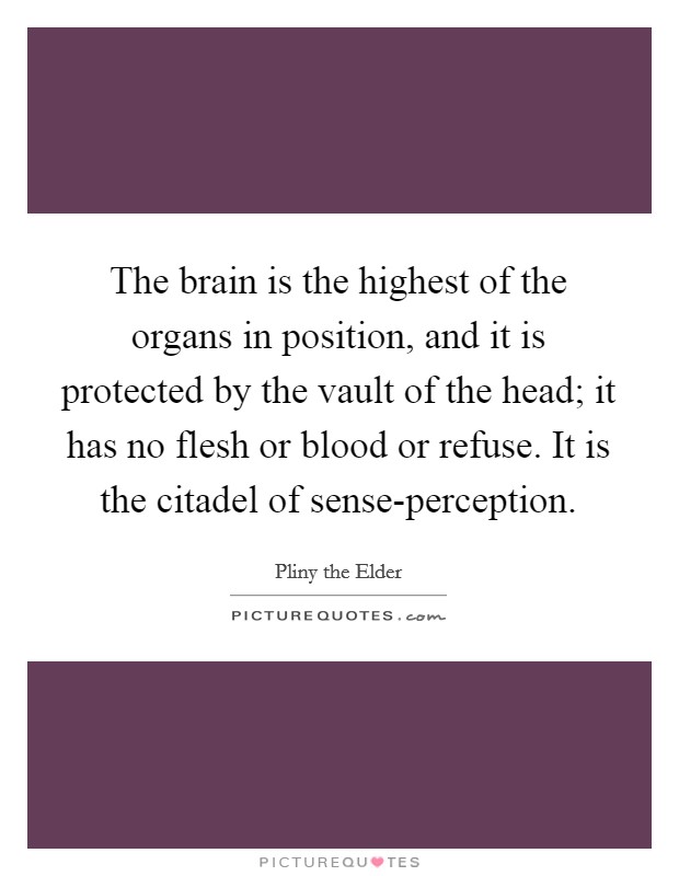 The brain is the highest of the organs in position, and it is protected by the vault of the head; it has no flesh or blood or refuse. It is the citadel of sense-perception Picture Quote #1