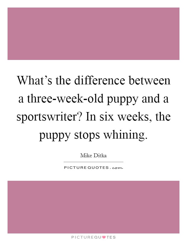 What's the difference between a three-week-old puppy and a sportswriter? In six weeks, the puppy stops whining Picture Quote #1