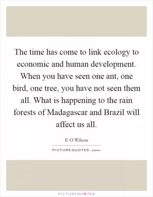The time has come to link ecology to economic and human development. When you have seen one ant, one bird, one tree, you have not seen them all. What is happening to the rain forests of Madagascar and Brazil will affect us all Picture Quote #1