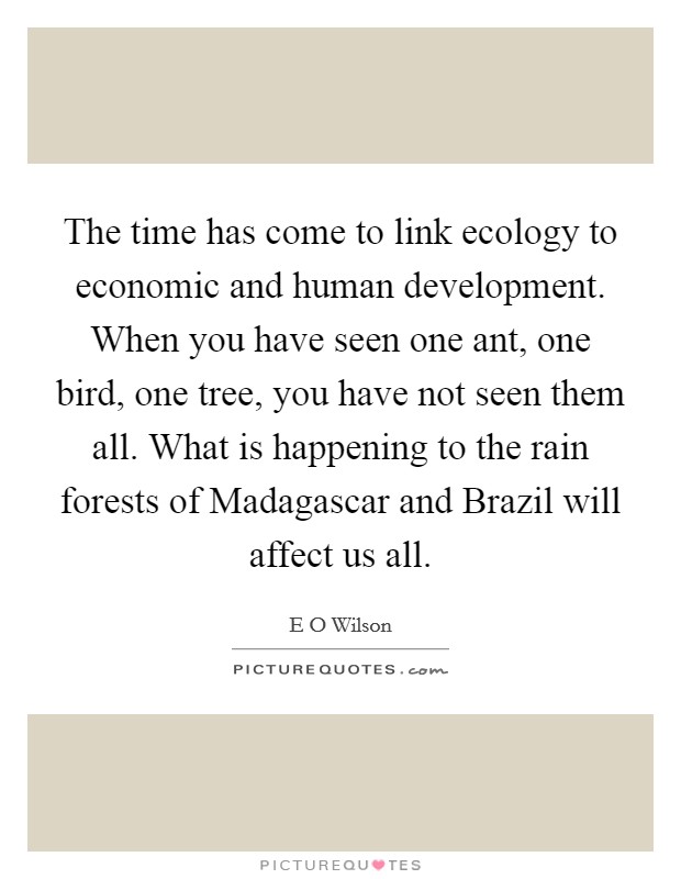 The time has come to link ecology to economic and human development. When you have seen one ant, one bird, one tree, you have not seen them all. What is happening to the rain forests of Madagascar and Brazil will affect us all Picture Quote #1