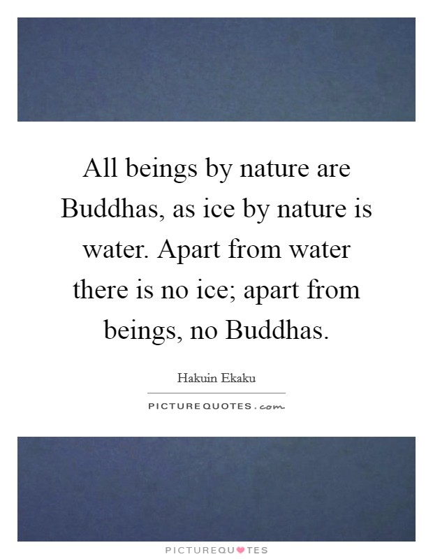 All beings by nature are Buddhas, as ice by nature is water. Apart from water there is no ice; apart from beings, no Buddhas Picture Quote #1