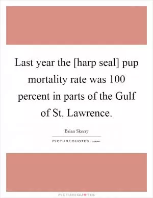 Last year the [harp seal] pup mortality rate was 100 percent in parts of the Gulf of St. Lawrence Picture Quote #1