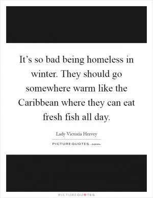 It’s so bad being homeless in winter. They should go somewhere warm like the Caribbean where they can eat fresh fish all day Picture Quote #1