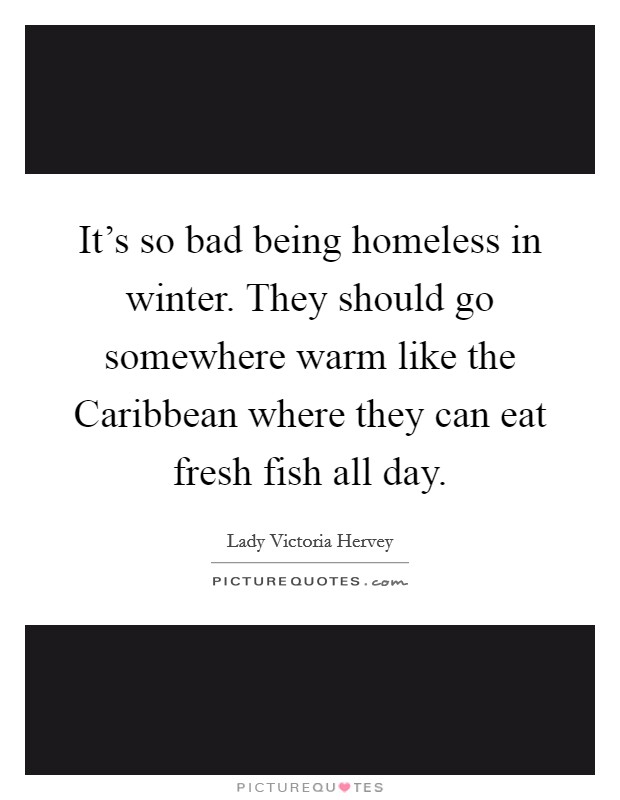 It's so bad being homeless in winter. They should go somewhere warm like the Caribbean where they can eat fresh fish all day Picture Quote #1