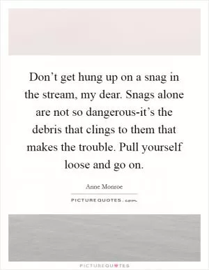 Don’t get hung up on a snag in the stream, my dear. Snags alone are not so dangerous-it’s the debris that clings to them that makes the trouble. Pull yourself loose and go on Picture Quote #1