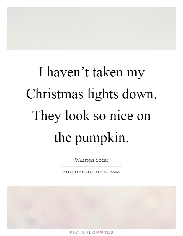 I haven't taken my Christmas lights down. They look so nice on the pumpkin Picture Quote #1