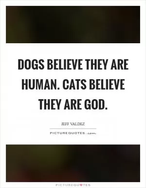 Dogs believe they are human. Cats believe they are God Picture Quote #1
