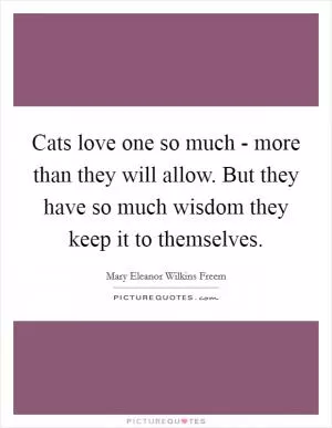 Cats love one so much - more than they will allow. But they have so much wisdom they keep it to themselves Picture Quote #1