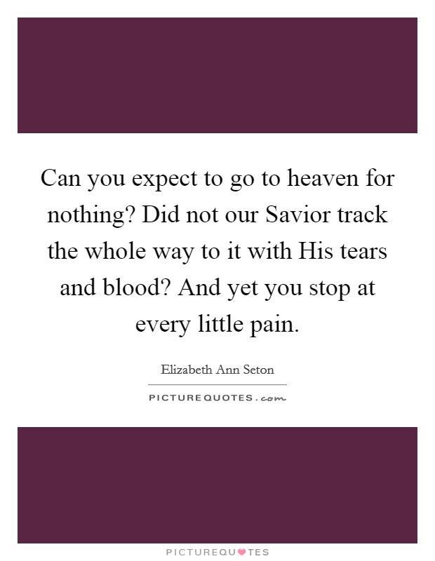 Can you expect to go to heaven for nothing? Did not our Savior track the whole way to it with His tears and blood? And yet you stop at every little pain Picture Quote #1