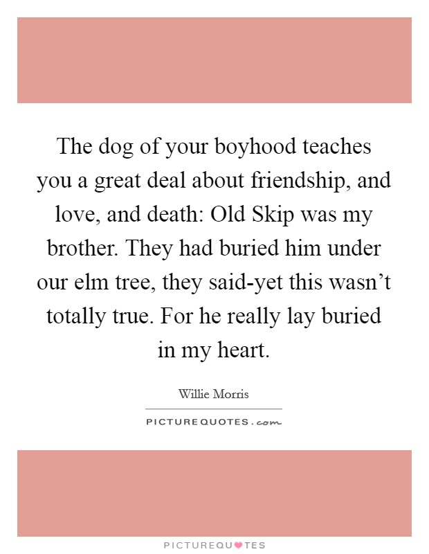 The dog of your boyhood teaches you a great deal about friendship, and love, and death: Old Skip was my brother. They had buried him under our elm tree, they said-yet this wasn't totally true. For he really lay buried in my heart Picture Quote #1
