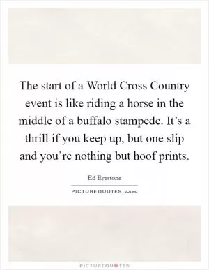 The start of a World Cross Country event is like riding a horse in the middle of a buffalo stampede. It’s a thrill if you keep up, but one slip and you’re nothing but hoof prints Picture Quote #1