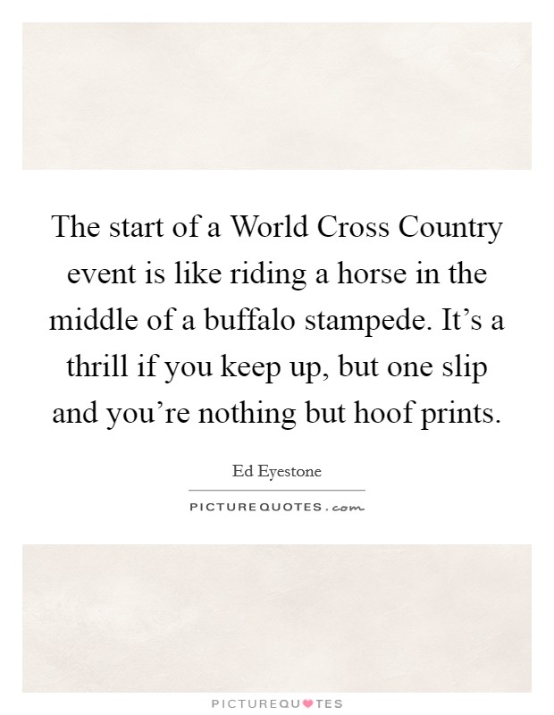 The start of a World Cross Country event is like riding a horse in the middle of a buffalo stampede. It's a thrill if you keep up, but one slip and you're nothing but hoof prints Picture Quote #1