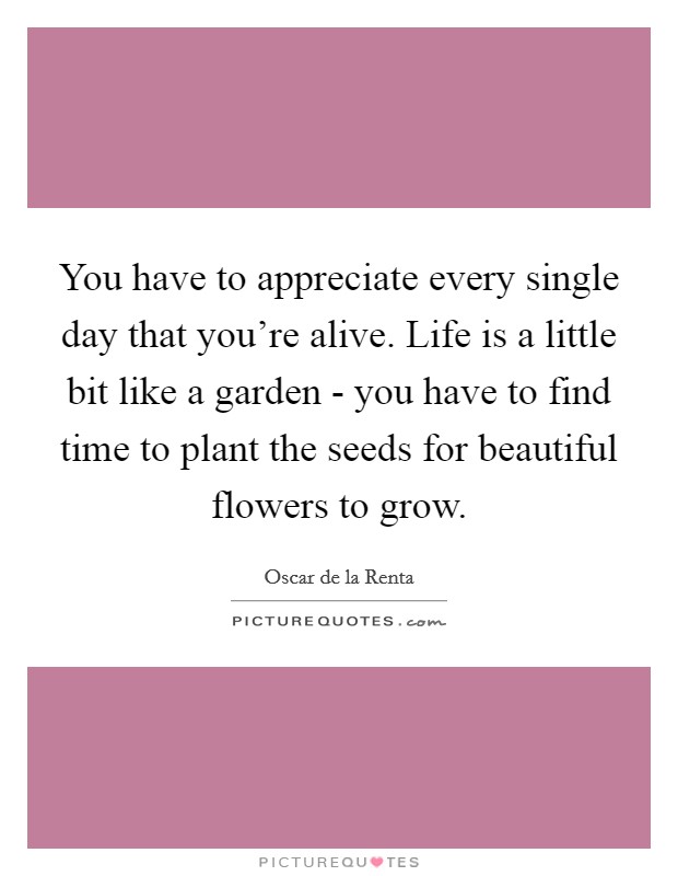 You have to appreciate every single day that you're alive. Life is a little bit like a garden - you have to find time to plant the seeds for beautiful flowers to grow Picture Quote #1