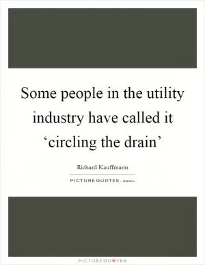Some people in the utility industry have called it ‘circling the drain’ Picture Quote #1