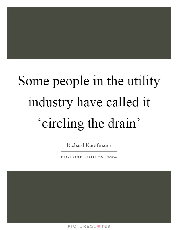 Some people in the utility industry have called it ‘circling the drain' Picture Quote #1