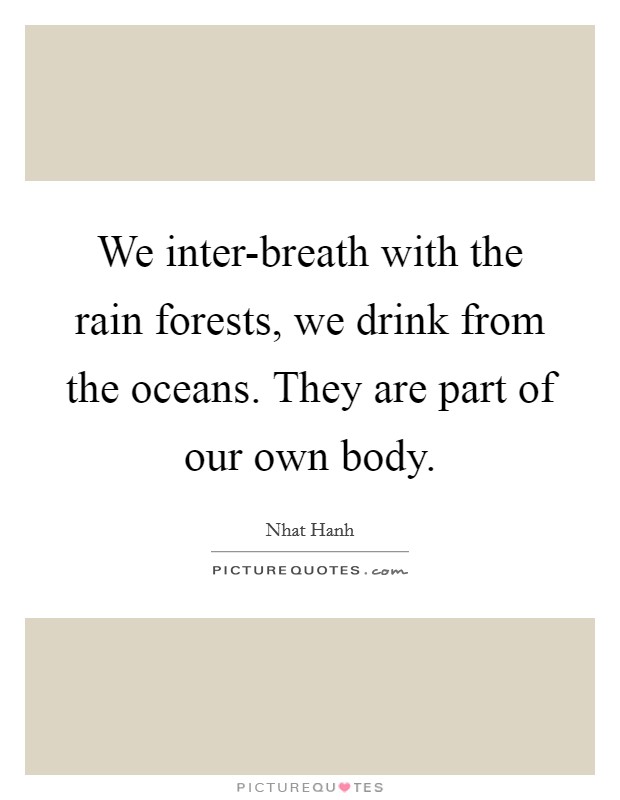 We inter-breath with the rain forests, we drink from the oceans. They are part of our own body Picture Quote #1