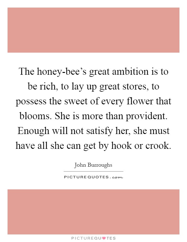 The honey-bee's great ambition is to be rich, to lay up great stores, to possess the sweet of every flower that blooms. She is more than provident. Enough will not satisfy her, she must have all she can get by hook or crook Picture Quote #1